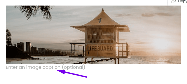 Caption in the image component in the visual email builder